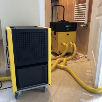 Osuszanie budynków Skierniewice